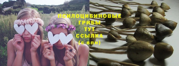MDMA Premium VHQ Богородицк