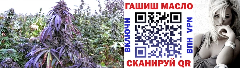 купить   Верея  ТГК Wax 