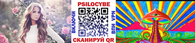 Галлюциногенные грибы Cubensis купить Верея