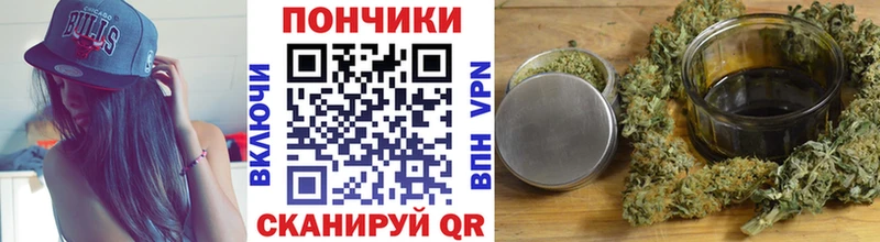 Бошки марихуана индика  где можно купить   omg tor  Верея 
